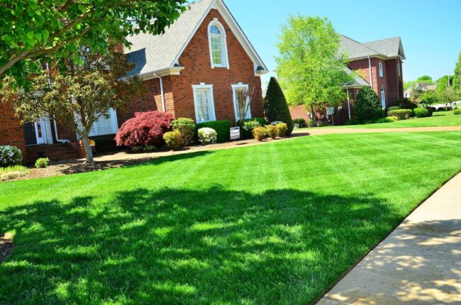 Landscaping near cherry hill south jersey