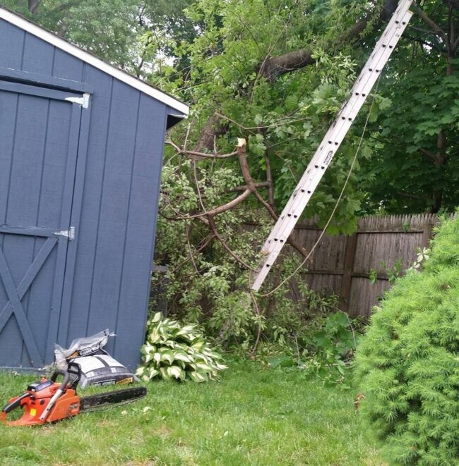 lot clearing Near Cherry Hill NJ