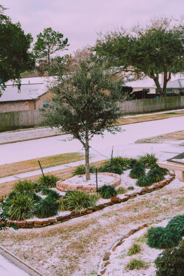 snowy weather_768x1152 Snow and salt